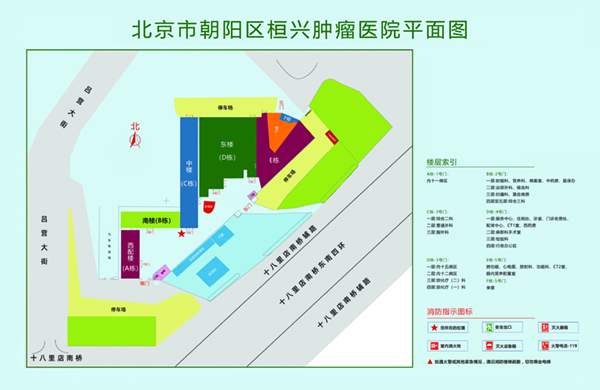 日本插入美女视频北京市朝阳区桓兴肿瘤医院平面图